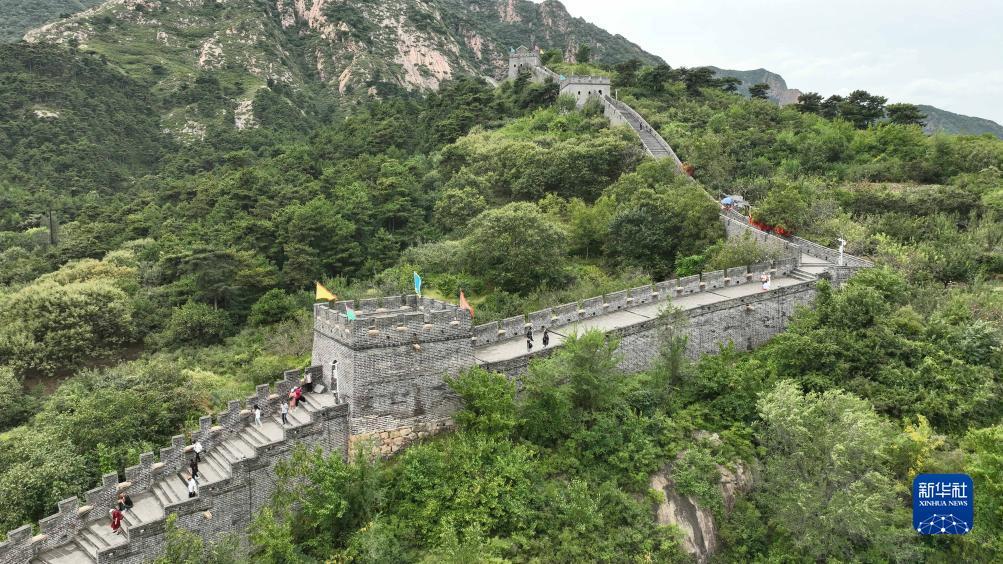 大富翁水果机下载